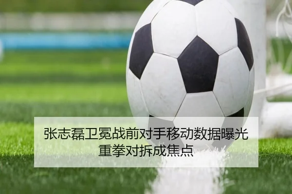 张志磊卫冕战前对手移动数据曝光 重拳对拆成焦点